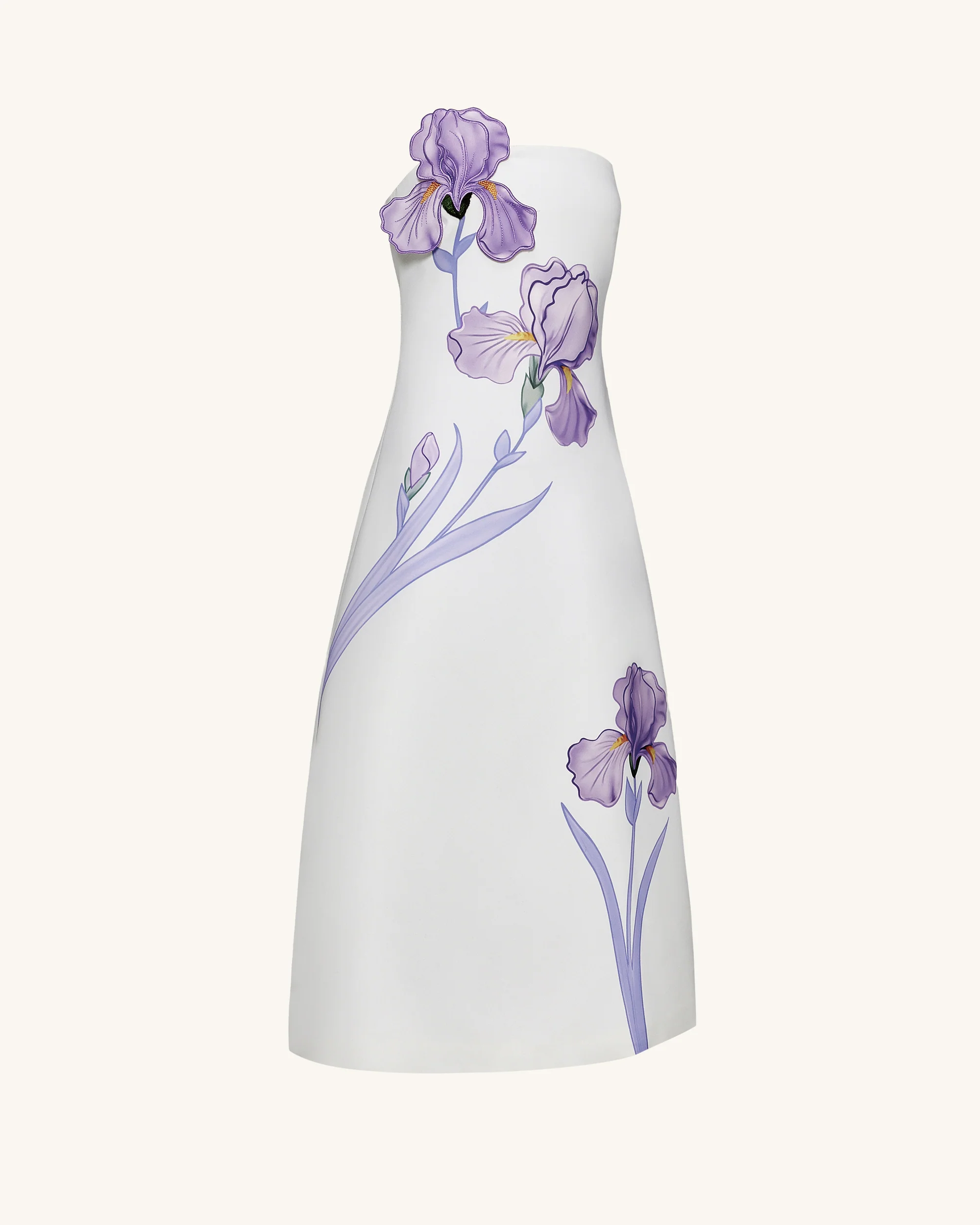 Iris Floral Print Strapless A-Line Maxi Dress - White - Image 3